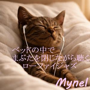 部屋の灯りを消したあとの静けさ