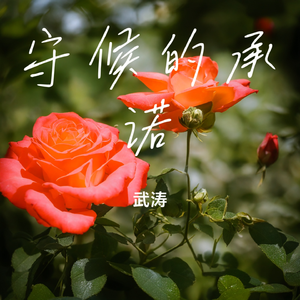 守候的承诺
