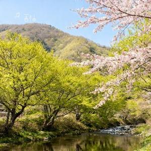 忘了忘记你 (Cover ycccc)