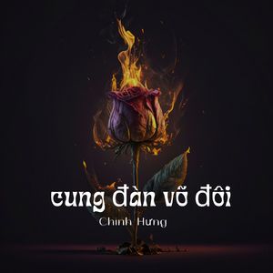 Cung Đàn Vỡ Đôi