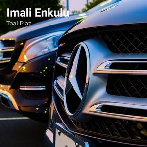 Imali Enkulu