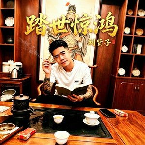 踏世惊鸿(伴奏)