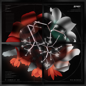 Babysbreath （满天星）