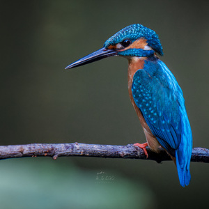 沁园春·余温新热