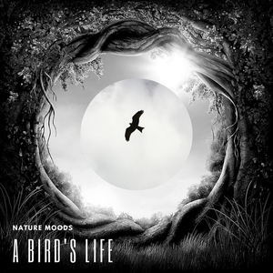 The Limits Of Endurance