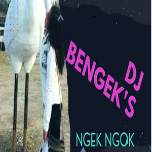 DJ BENGEK'S NGEK NGOK