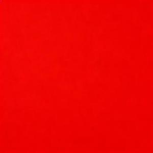 REDRED (Cover CORTIS)