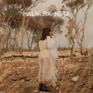 Malvasia nera