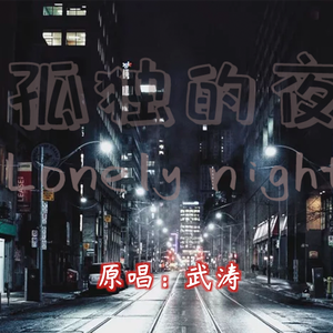 孤独的夜