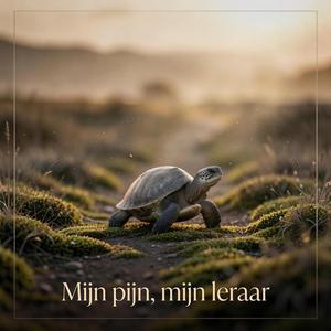 Pijn die fluistert?