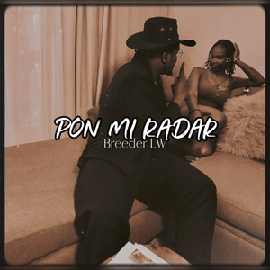 Pon Mi Radar