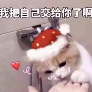 说爱你（少女音ver）