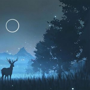 睡觉听的轻音乐