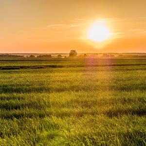 몸과 정신의 안정 (휴식음악)