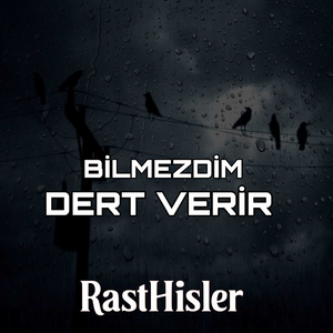 Bilmezdim Dert Verir
