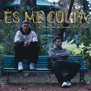 Es Mi Culpa
