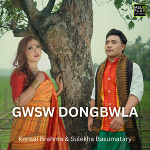 Gwsw Dongbwla