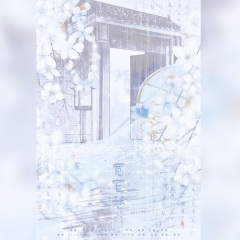 《宽窄巷》悠扬一曲，点亮岁月的长廊