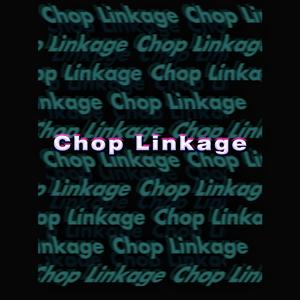 Chop LiknageⅡ（ft.Fat CHOP）
