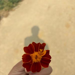 世道人心
