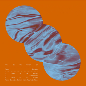 What Is The World (Cotton Socks PsyTrain Mix)