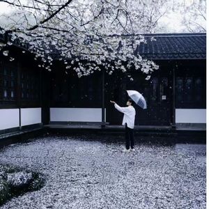 错过的爱成遗憾