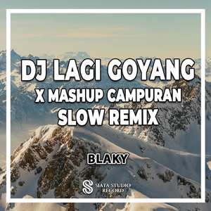 DJ Lagi Goyang X Mashup Campuran Slow Remix