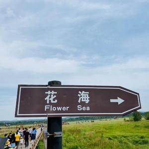 夜行（翻自 队长）