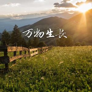 万物生长(Demo&Live)
