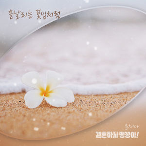 흩날리는 꽃잎처럼