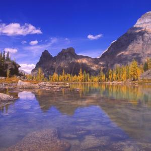 前往我们心里爱的道路