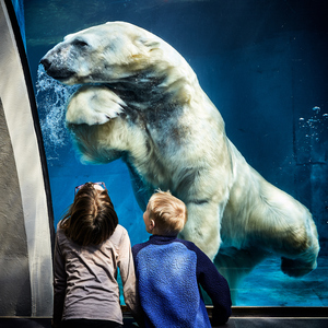 幽默搞笑的古风音乐