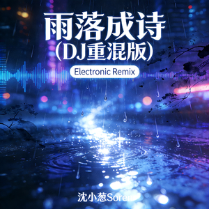 雨落成诗 (DJ重混版)
