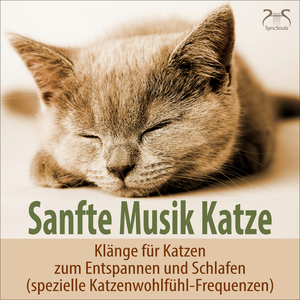 Traum Melodie für die Katze: Spülmaschine und Melodie zur Entspannung (keine tiefen Töne)