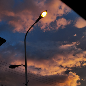 北方的女王（cover尧十三）（翻自 尧十三）