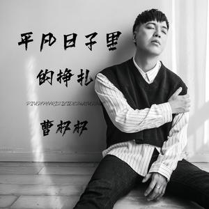 平凡日子里的挣扎(心碎版)