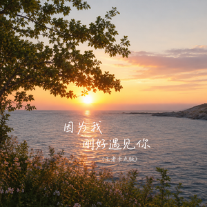 因为我刚好遇见你