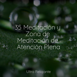 Anochecer En La Distancia