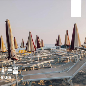风掠过的夏天