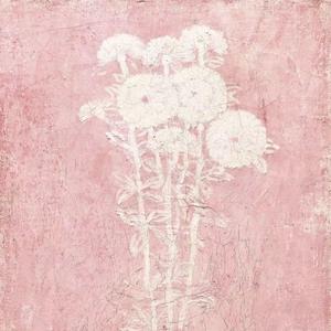 California（翻自 NIKI）