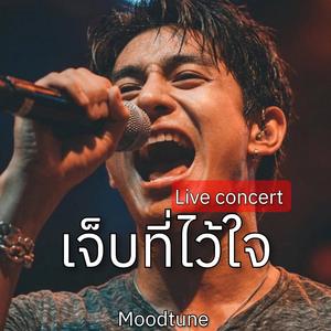 เจ็บที่ไว้ใจ (Live concert )