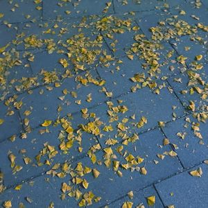 要如何（Prod by SCORPION)