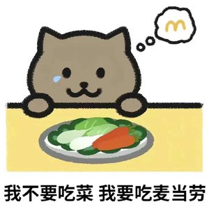 根本你不懂得爱我（1.2x）