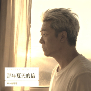 那年夏天的信