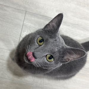 안녕하십니까