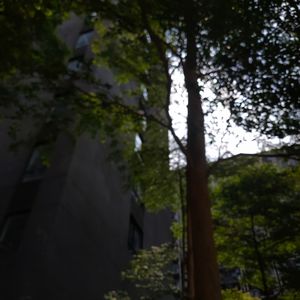 五月雨（火影忍者疾风传）