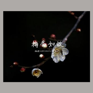 梅香如故【雄、怪】