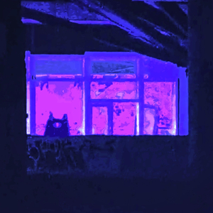 ESTHESIA (Extended Version)