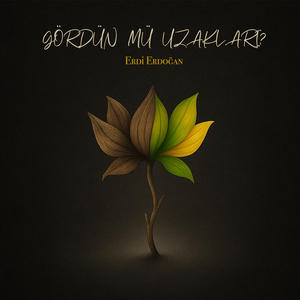 Gördün mü Uzakları