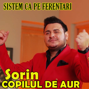 Sistem ca pe Ferentari